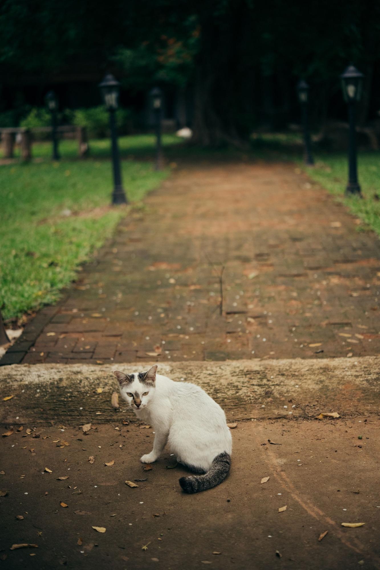 Chompor Lanna Hotel Chiang Mai Bagian luar foto