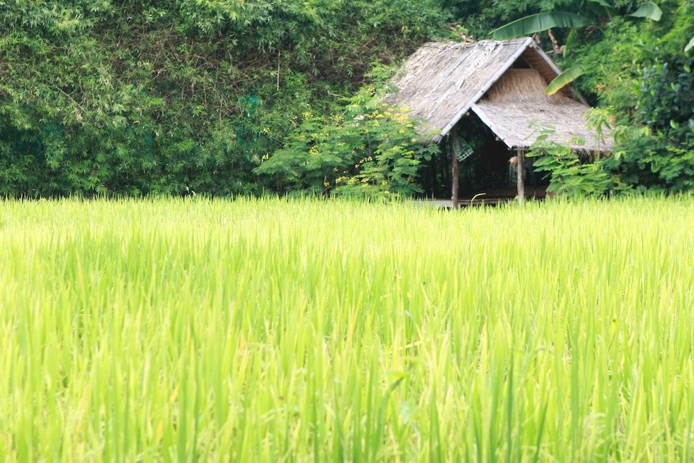 Chompor Lanna Hotel Chiang Mai Bagian luar foto